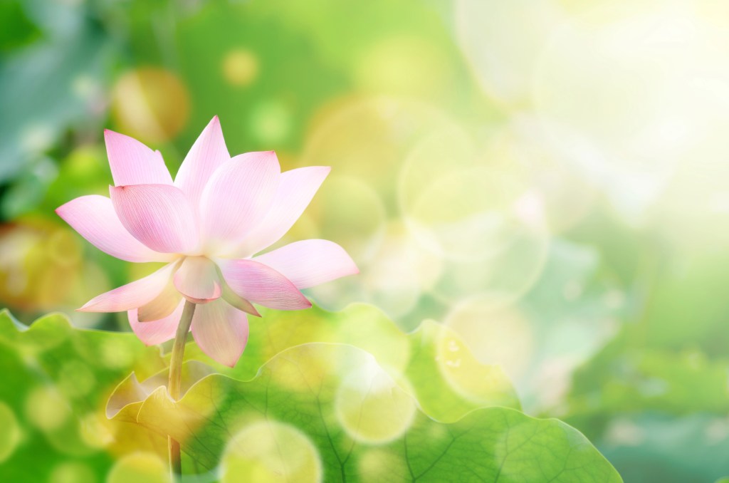 Be the Sunlight Beyond&nbsp;Time